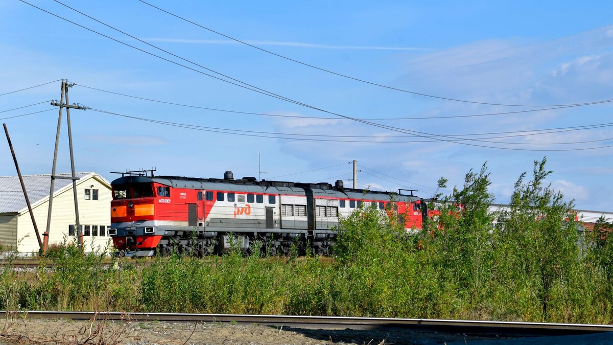    Фото: Андрей Ткачев / «Ямал-Медиа»