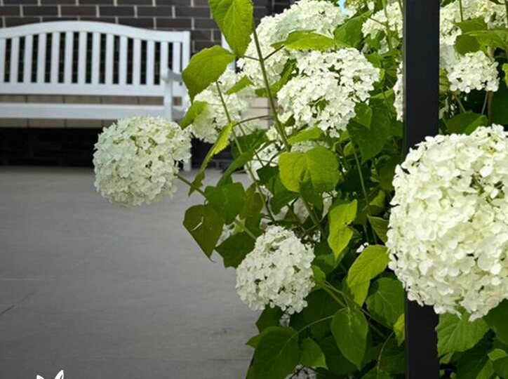 Экспресс-проект участка в подарок