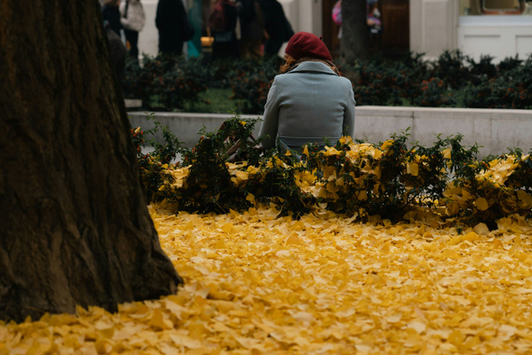     Uladzislau Petrushkevich/Unsplash