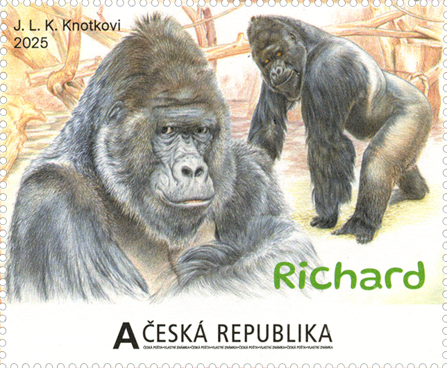 марка, обозначенная буквой А, соответствующей цене обычного письма – Стандарт до 50 г при первоочередном сообщении внутри страны (актуальная цена в соответствии с Прейскурантом основных почтовых услуг: 36 чешских крон)