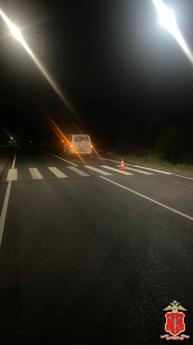    Фото: пресс-служба ГУ МВД России по Петербургу и Ленобласти