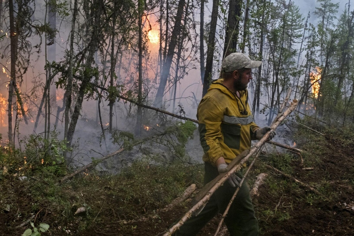    Фото: Сергей Строителев, источник: ria.ru
