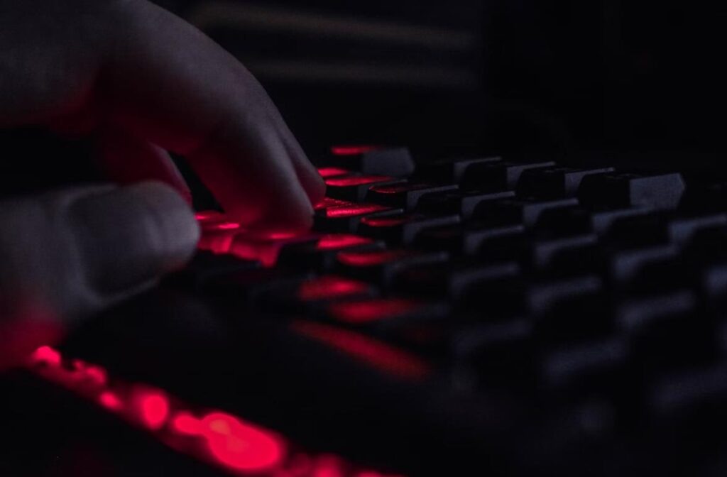    Xeriss (unsplash)