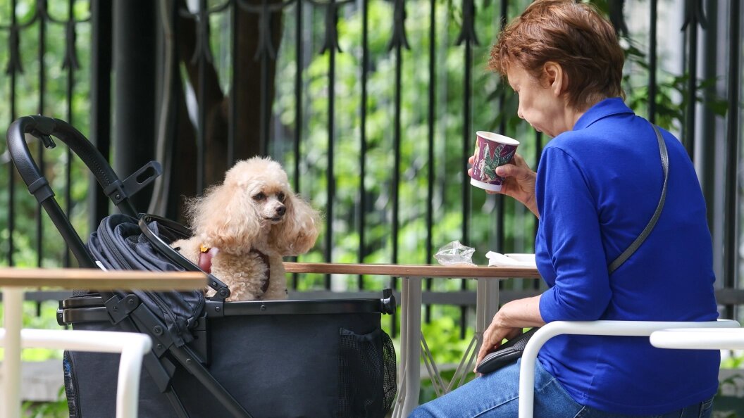    Belkin Alexey/Globallookpress