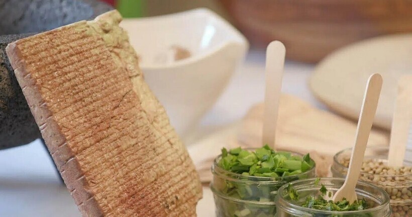    Фото: mymodernmet.com