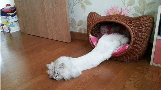 Источник: pinterest.com