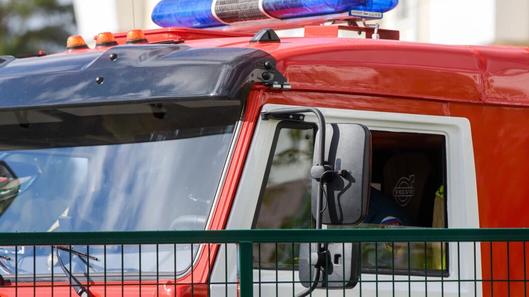    фото: Ilya Moskovets/URA.RU/Globallookpress