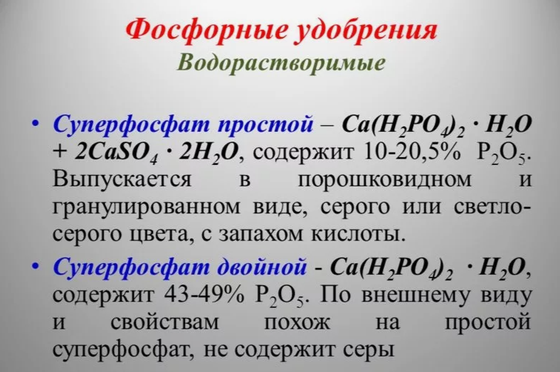 Сколько и куда вносить фосфорные удобрения