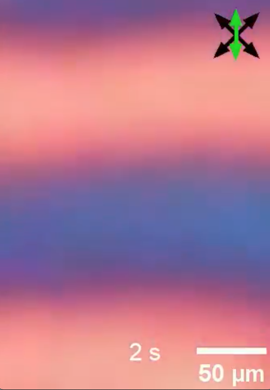 Фото: временные кристаллы (фрагмент видео) / Университет Колорадо в Боулдере