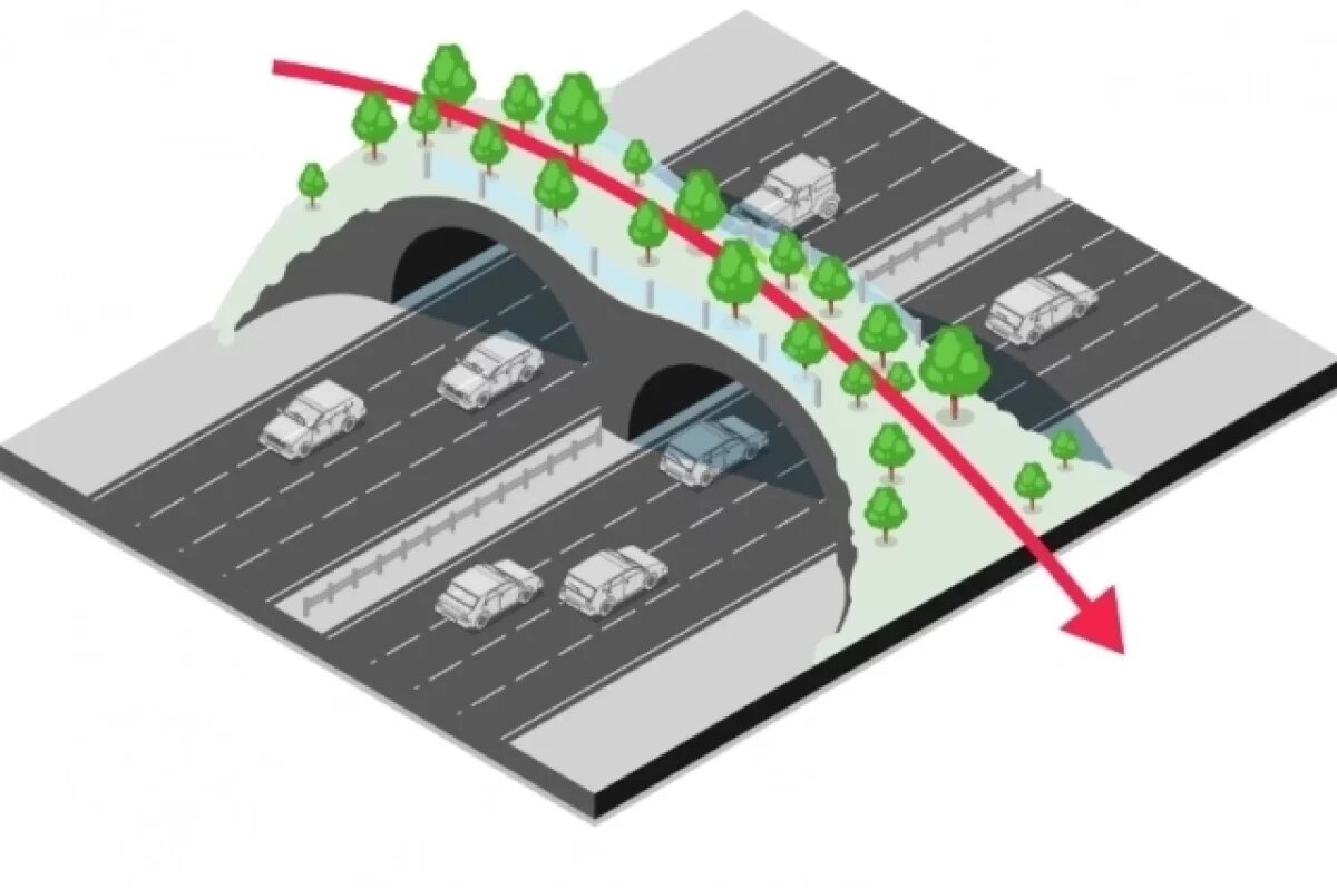    Скандал из-за моста для летучих мышей за ₽24 млрд разгорелся в Британии