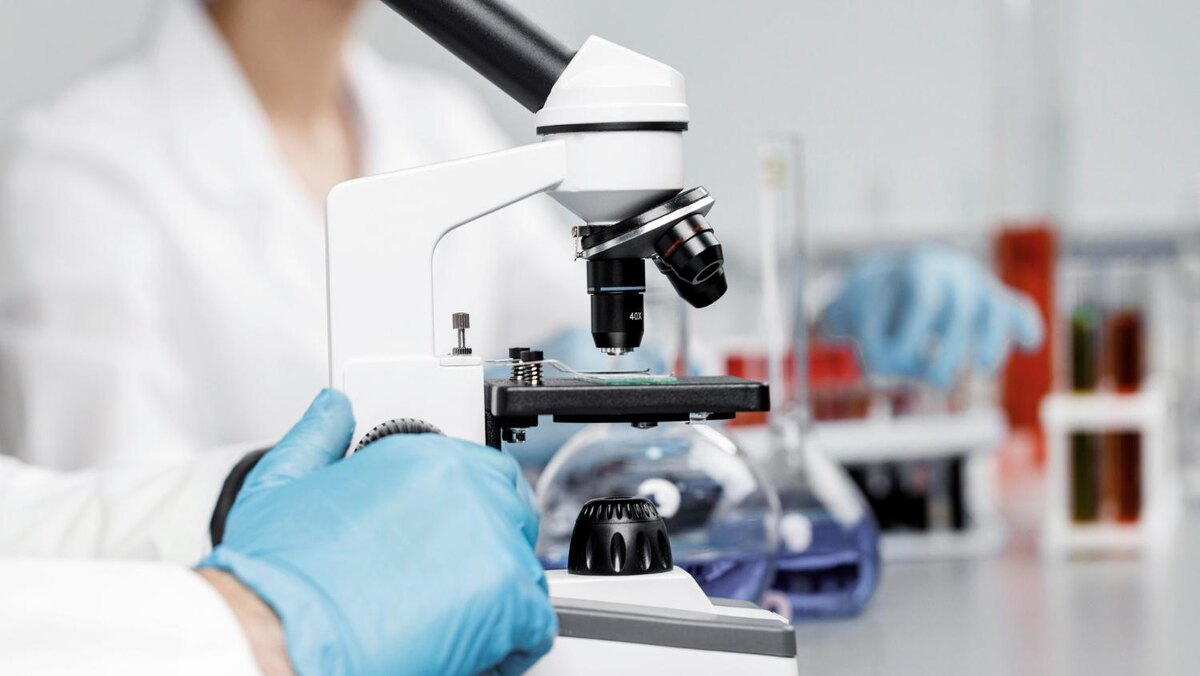 Фото: freepik.com