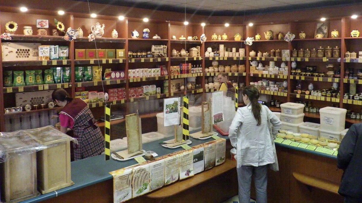    Фото: t.me/kkispb