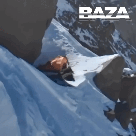 Видео от 16 августа. Тг-канал Baza