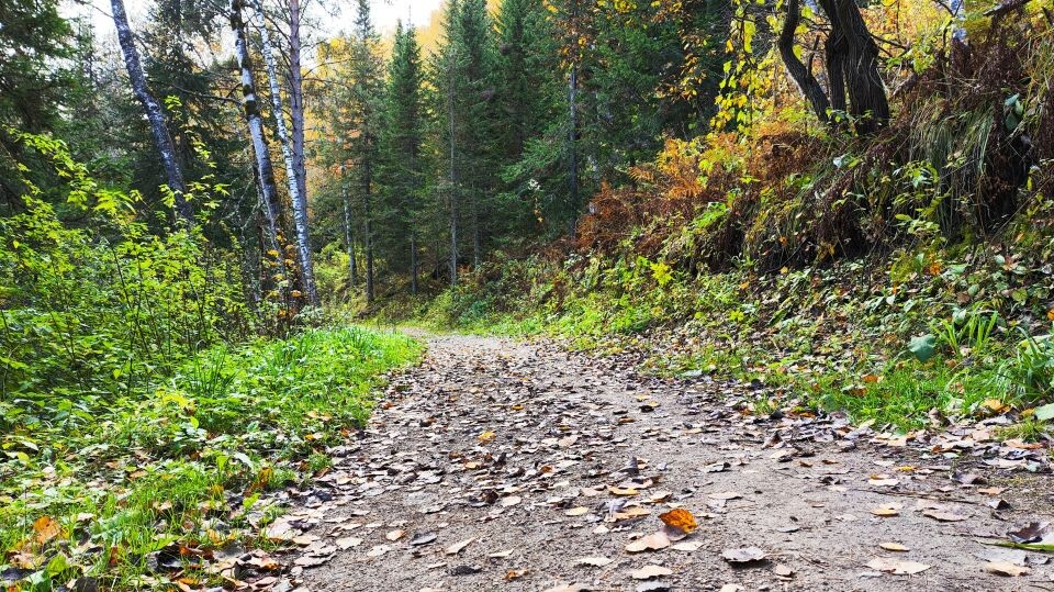    Белокуриха. Осень. Терренкур. Источник: Елена Маслова