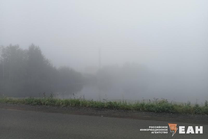    Фото Татьяны Томас