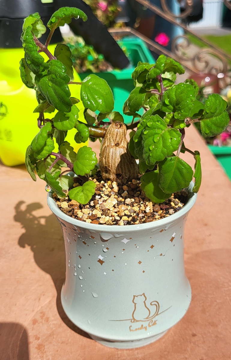 Так он выглядел до переезда