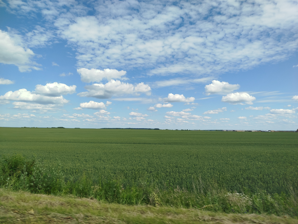 Поля по дороге в Сапожок