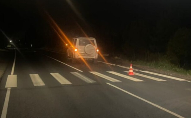    © Пресс-служба ГУ МВД России по Петербургу и Ленобласти