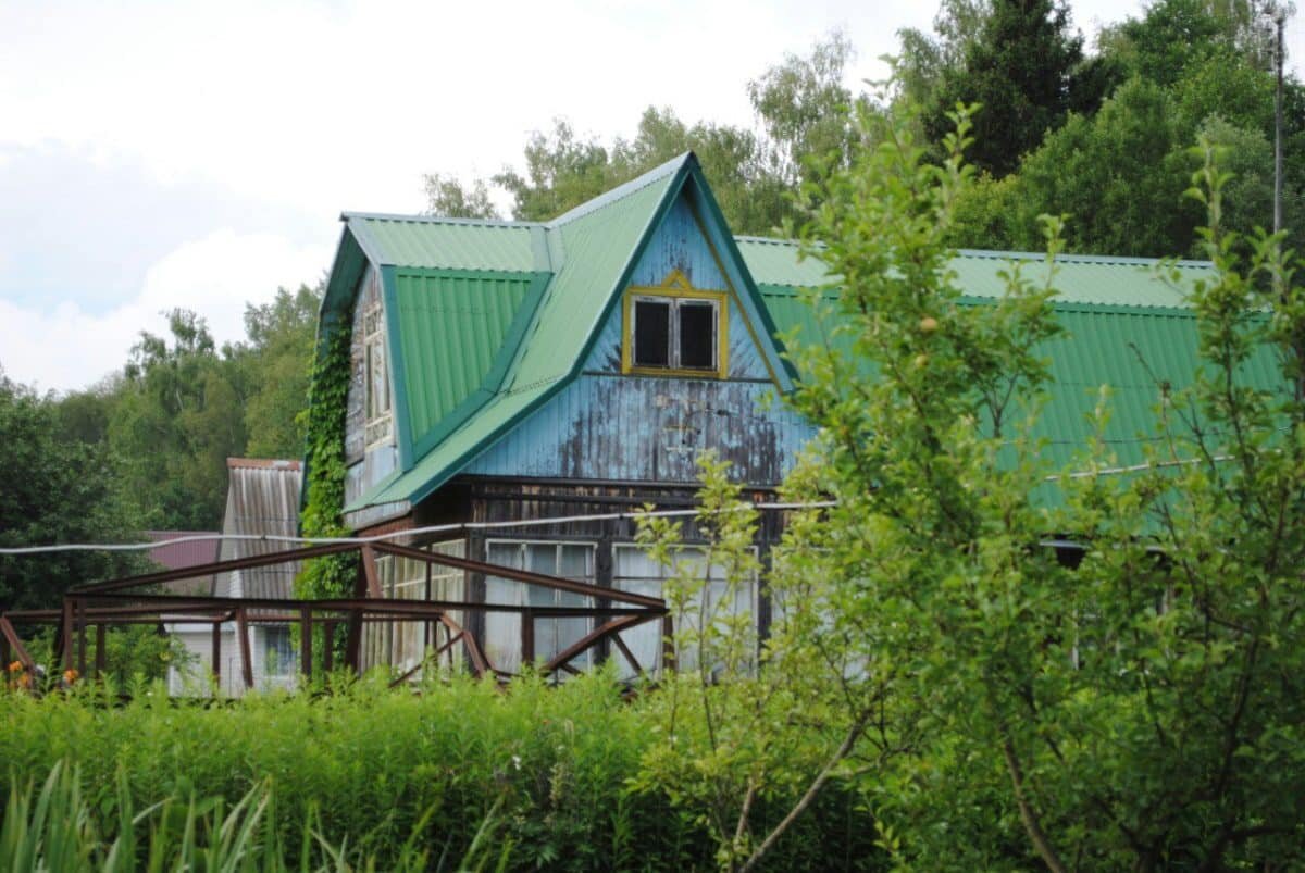    Ученая ПНИПУ рассказала, что сажать осенью на даче / © Анна Винокурова, Unsplash