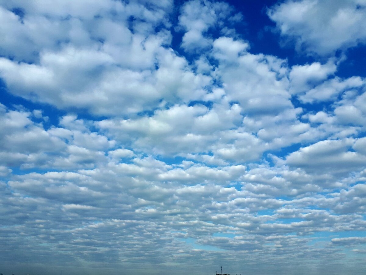 Фото автора статьи 16.09.2025г.