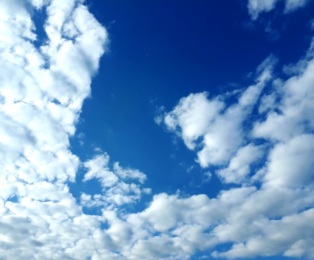 Фото автора статьи 16.09.2025г.