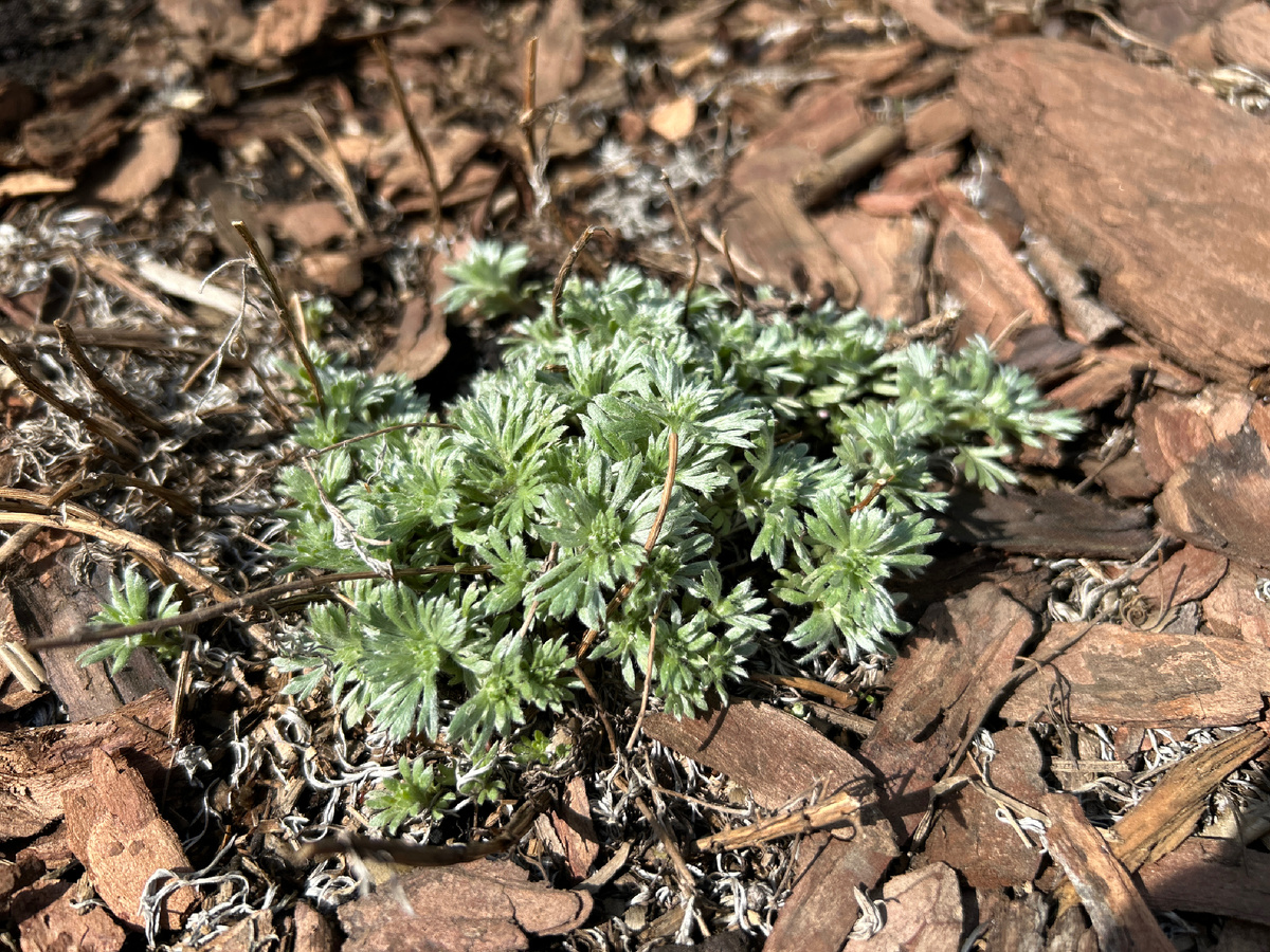 20 апреля 2025г.