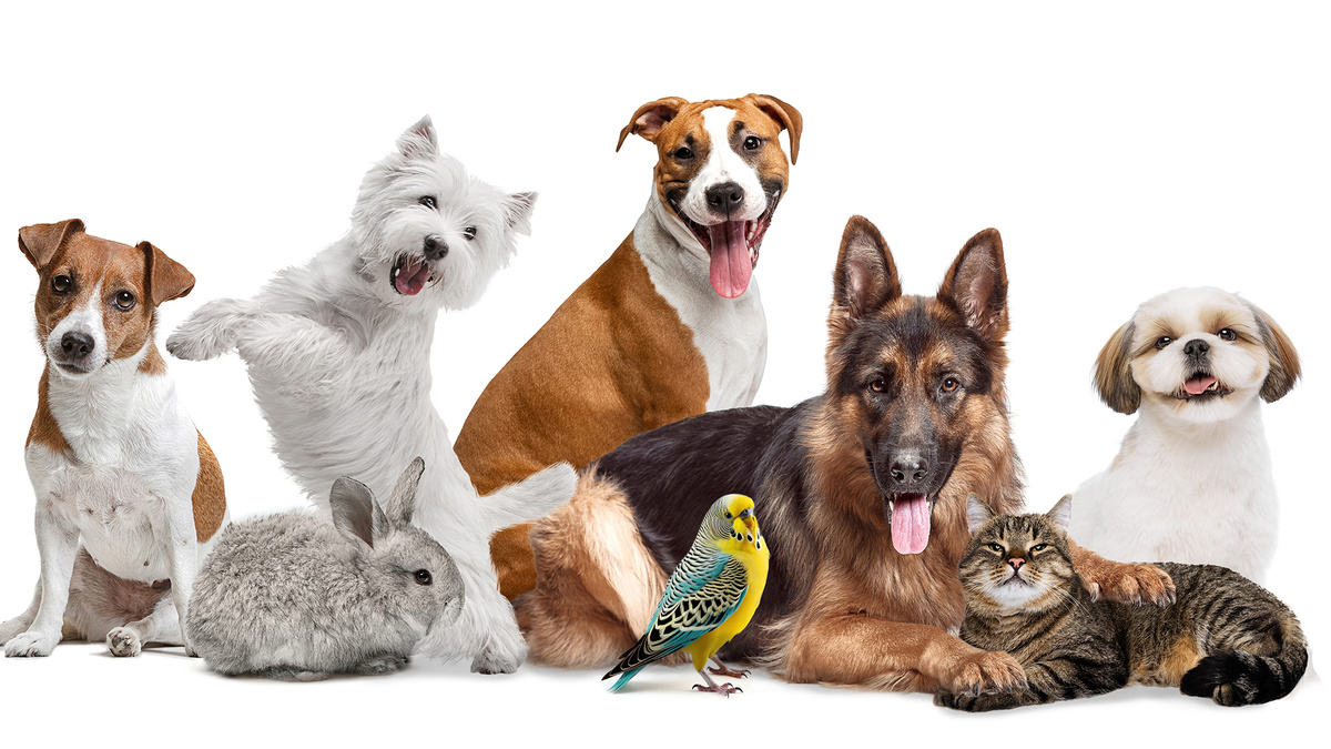 Каждому герою нужна своя история и, конечно же, имя!