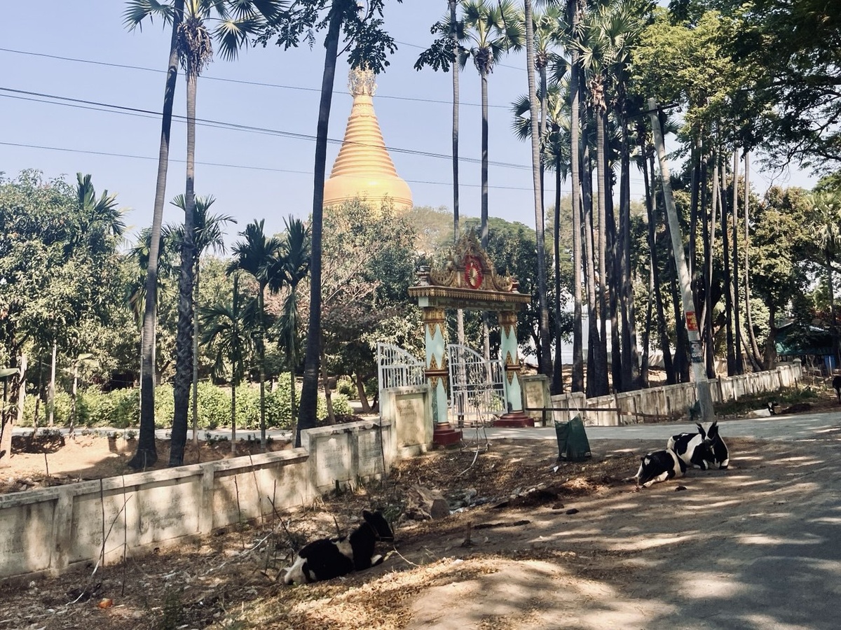 Мьянма сейчас