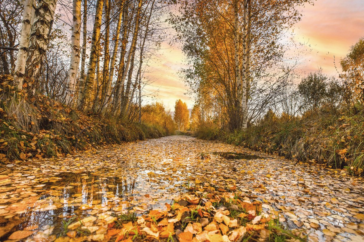 фото:Sergey Metelitsa/Global Look Press