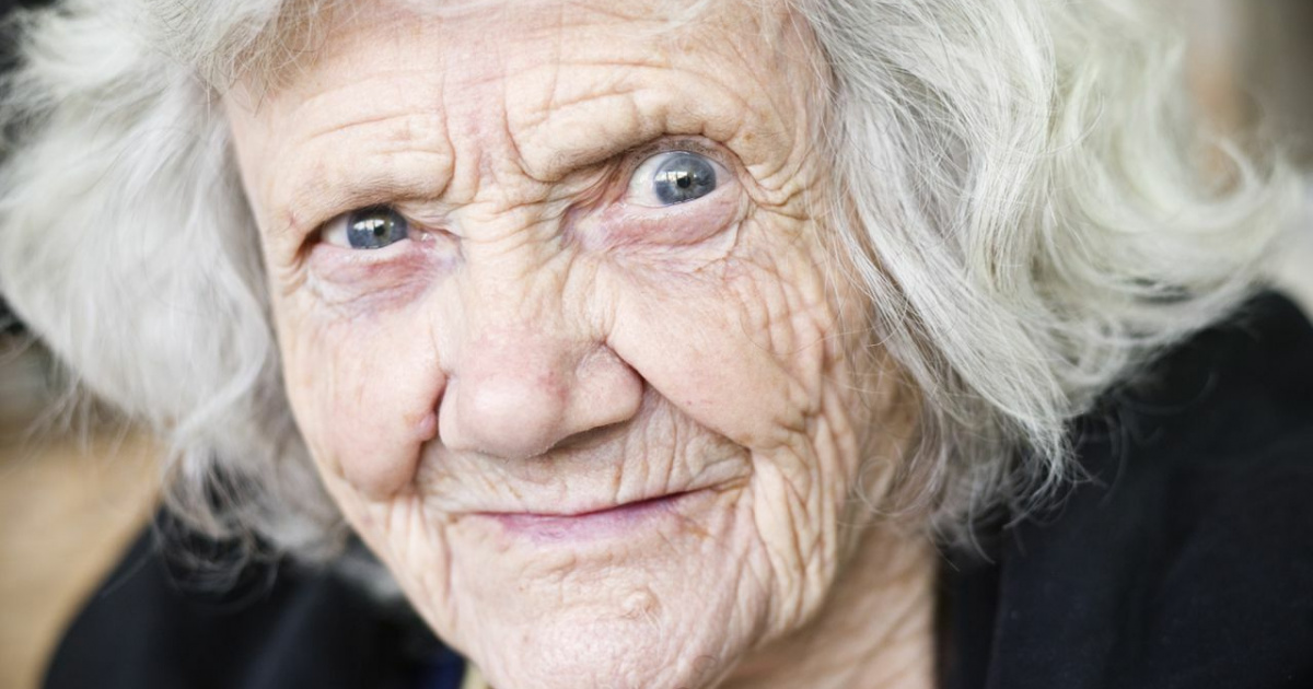 Фото Яндекс картинки.