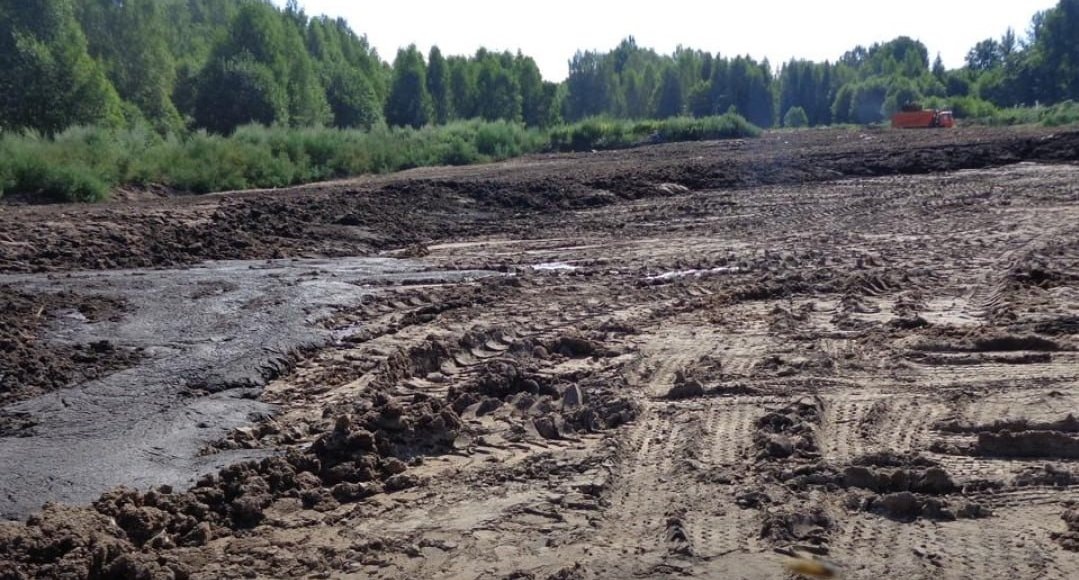    Фото: пресс-служба Росприроднадзора