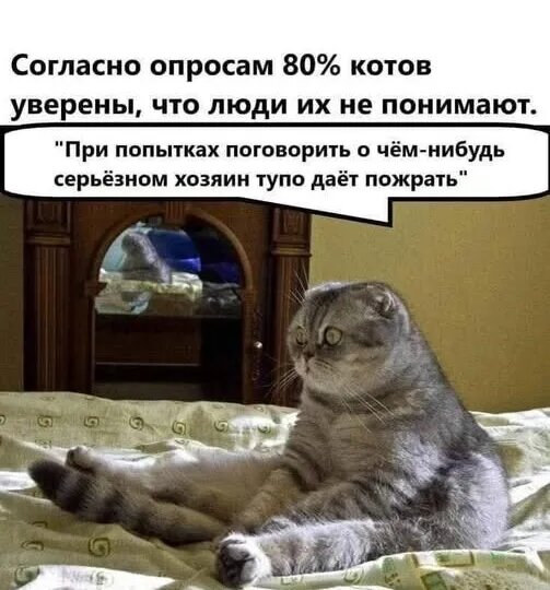 Не новости, а анекдот. Юмор. Наверное