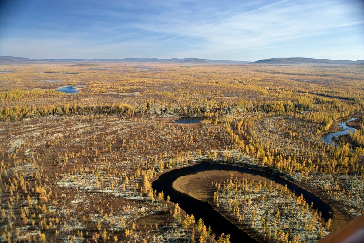 Вид осенней тундры на Енисее в районе плато Путораны с вертолета. Фото: Михаил Генис