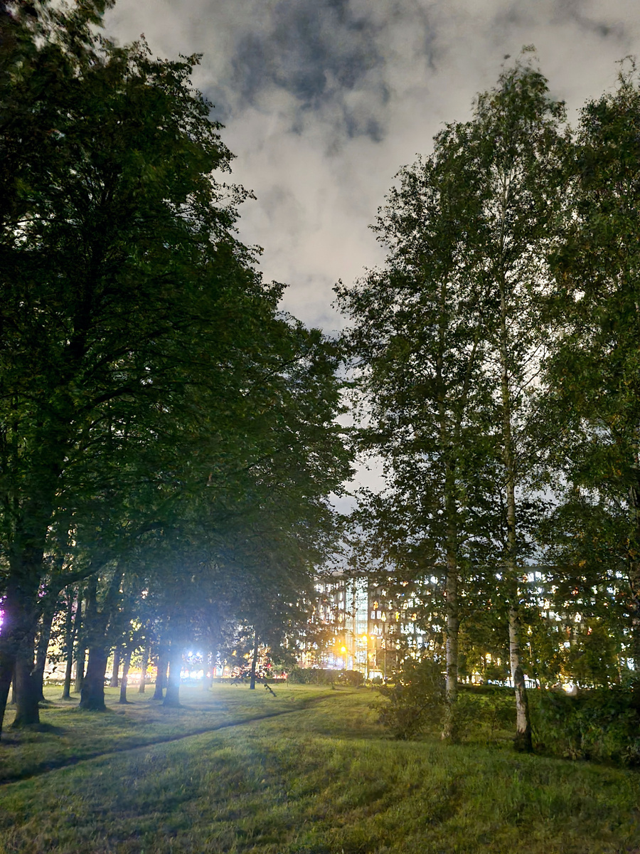 Фото из личного архива автора.