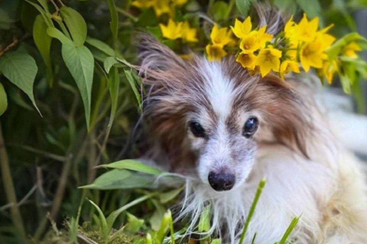    Фото: Книга рекордов России, источник: reestrrekordov.ru