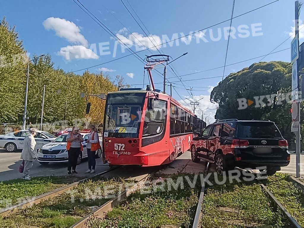    Фото: В курсе.ру Ульяна Бажанова