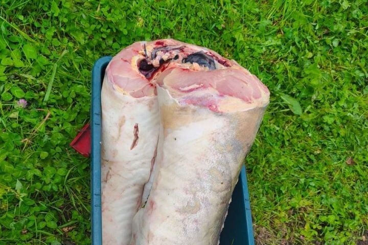    Фото:телеграм канал Управления Министерства внутренних дел Российской Федерации по Хабаровскому краю