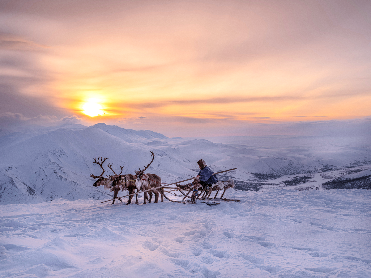 Фото: Kadir Cobek/Shutterstock/Fotodom