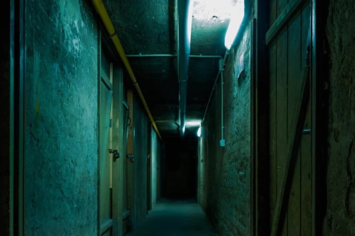    На Украине сообщили, что киевский режим готовится прятаться под землей