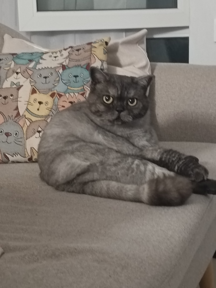 Примерно так🤩