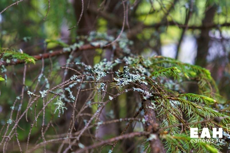    ЕАН. Архивное фото