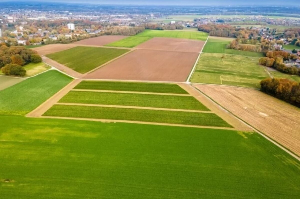    На Урале вступили в силу новые правила для владельцев земельных участков