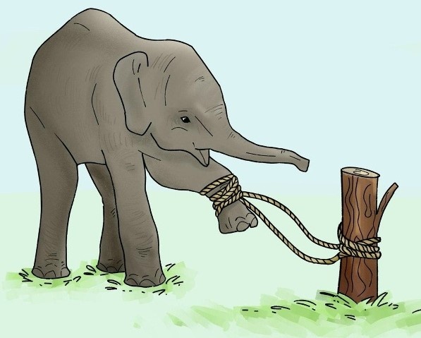 картинка из свободных источников