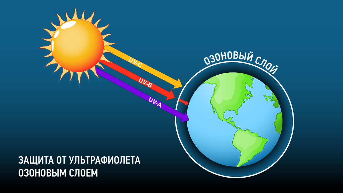    Фото: Designua/Shutterstock/FOTODOM Главным врагом всего живого является UV-B излучение