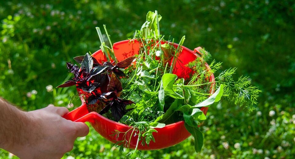    Svetlana Vozmilova/Global Look Press / www.globallookpress.com