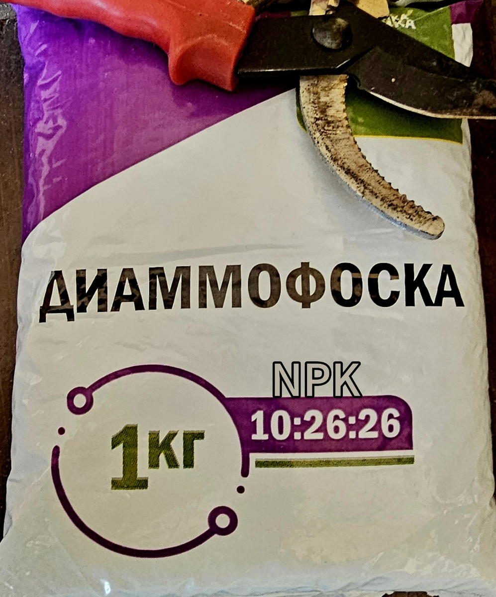 Осенняя подкормка: что внести в почву, чтобы весной все росло как на дрожжах