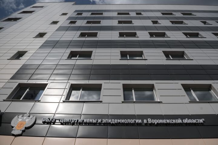    Фото: Правительство Воронежской области