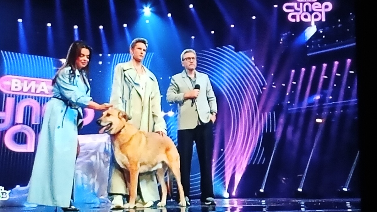 ,,Револьвер,, по словам музыкального эксперта Сергея Соседова, применил запрещённый приём в виде домашнего животного. Это всё равно, что вывести ребёнка на сцену ...