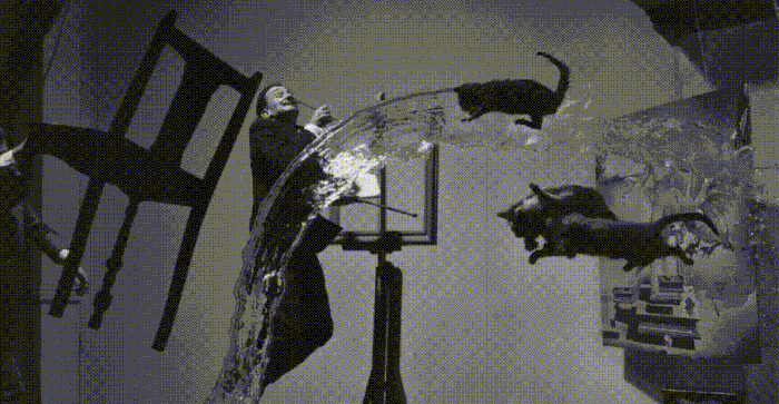     Иллюстрация: Яндекс