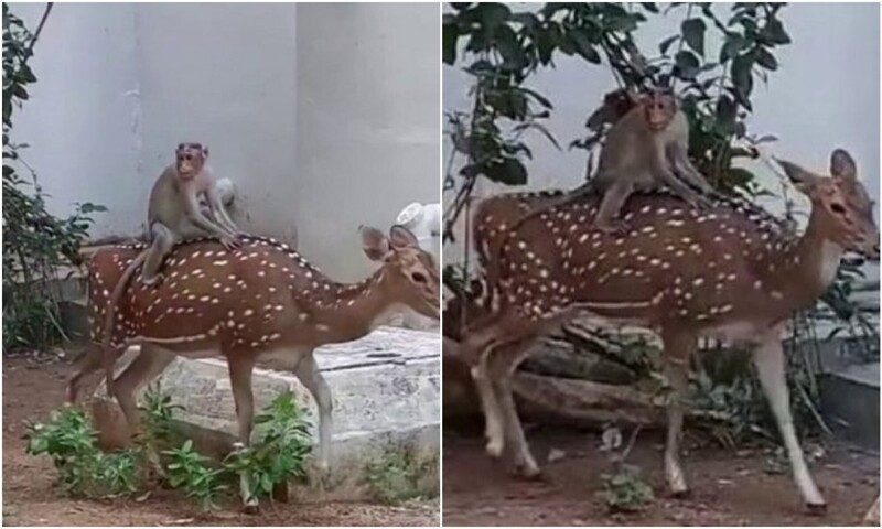   ,       .          !